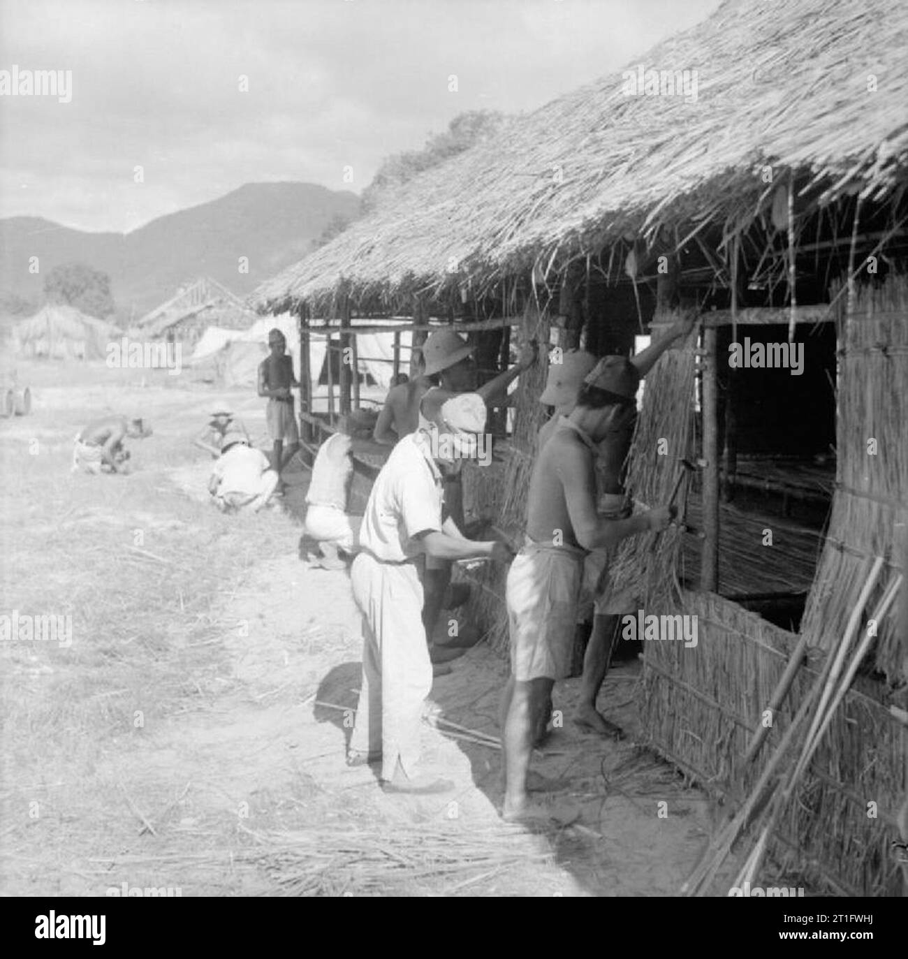 The Allied Reoccupation of French Indo-china Japanese prisoners of war complete the construction of their own living quarters at a camp at Cape Saint Jacques by thatching the roof and walls. The camp housed up to 38,500 prisoners. Stock Photo
