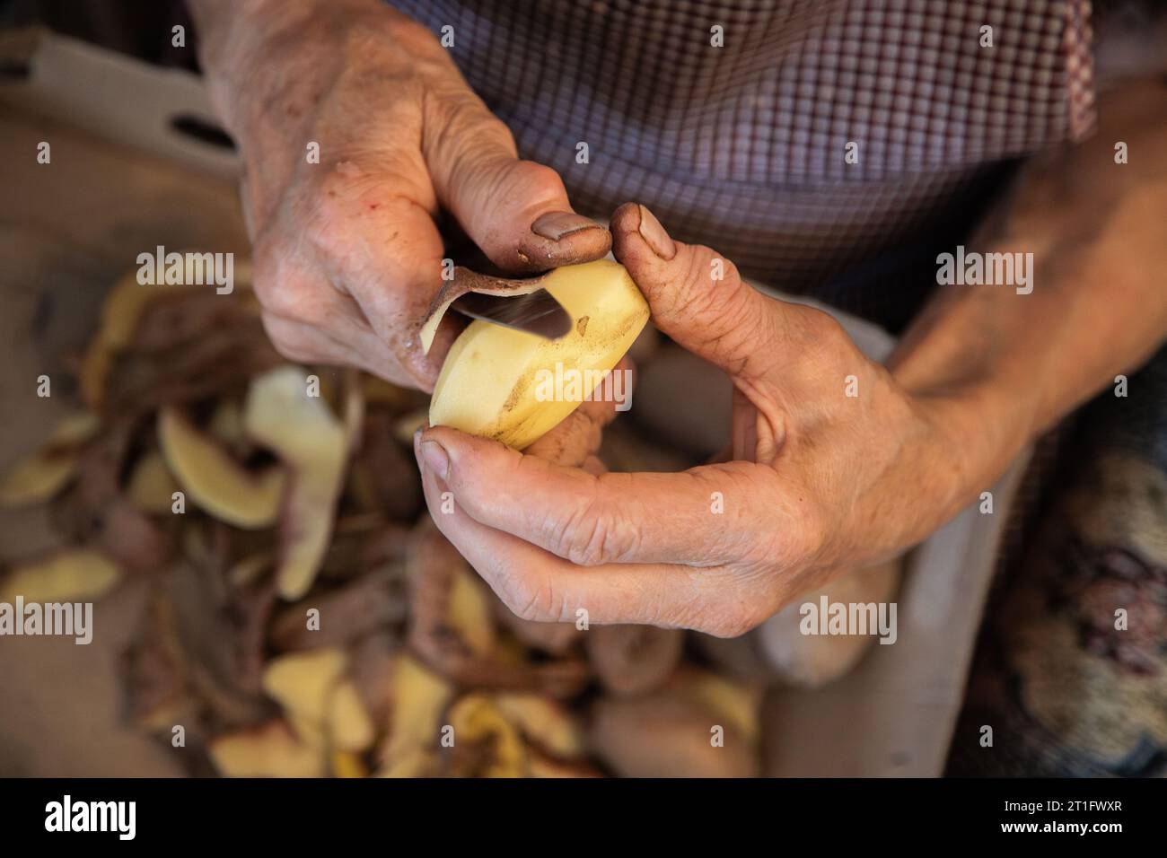 Elderly woman's hands doing domestic work of peeling potatoes. Aged