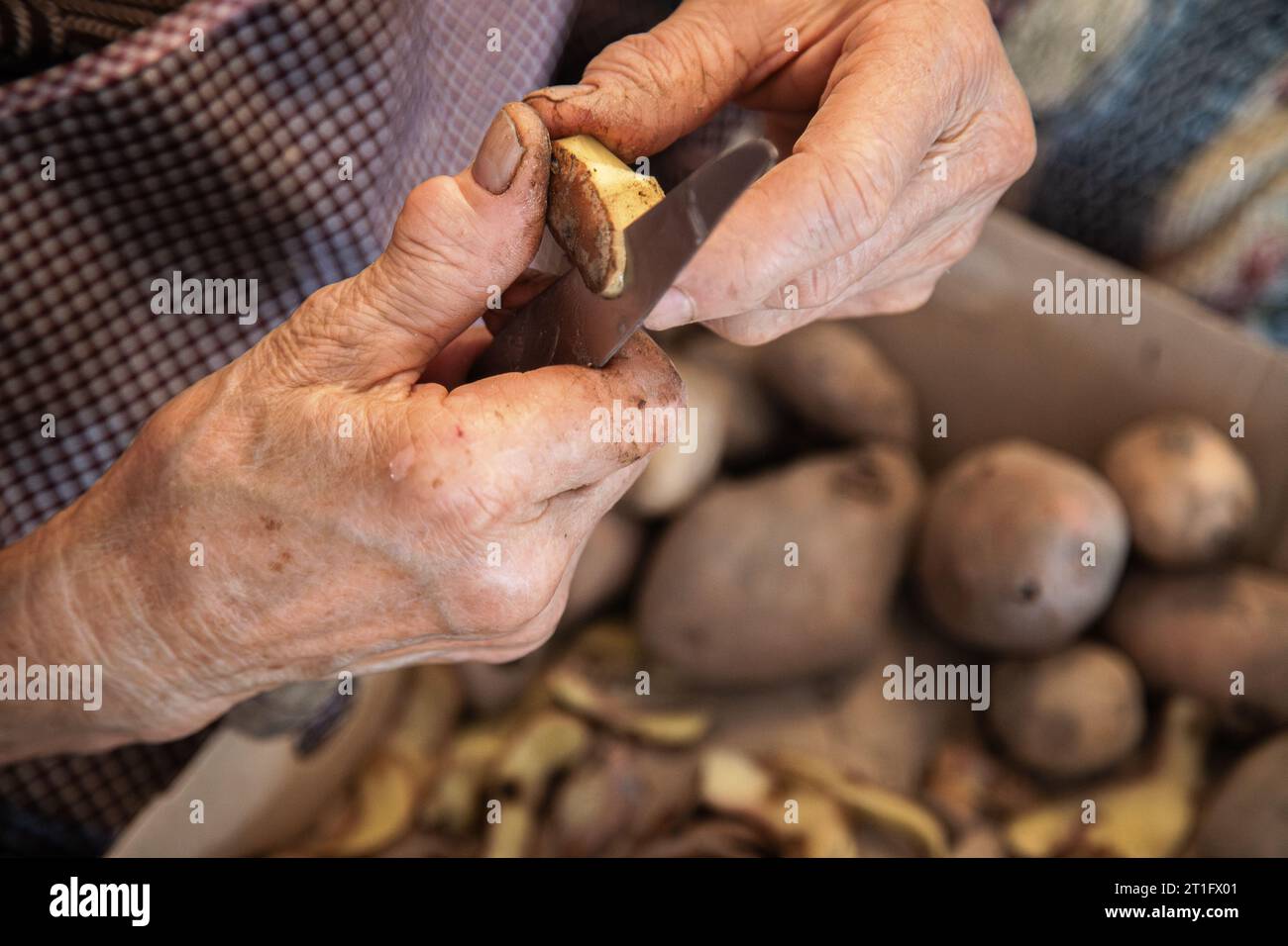 Elderly woman's hands doing domestic work of peeling potatoes. Aged