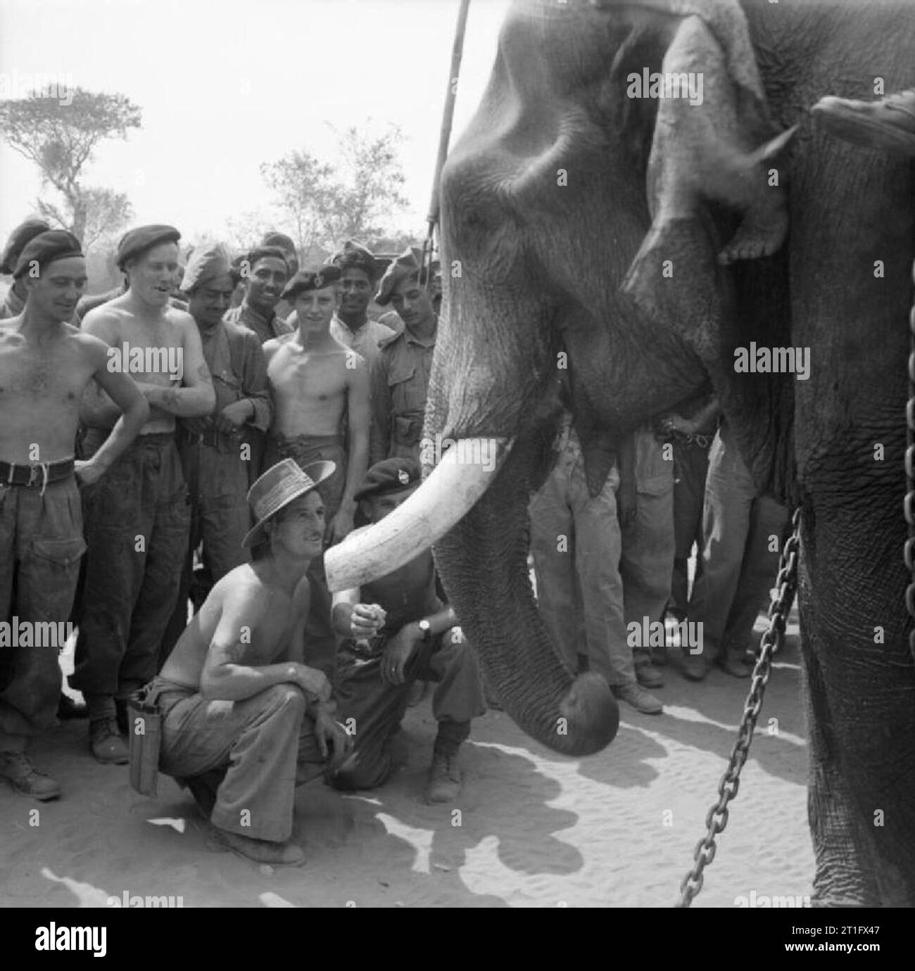 The British Army in Burma 1945 Tank crews of the 9th Royal Deccan Horse ...