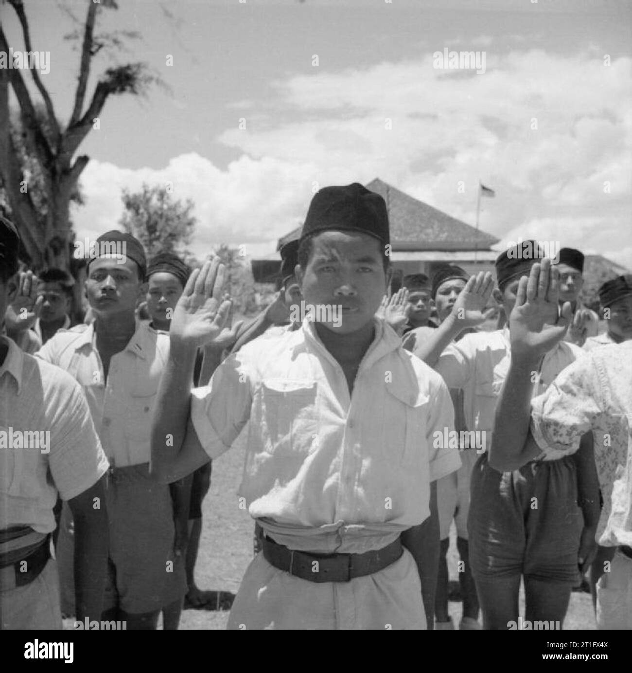The British Occupation of Java Villagers from Tjikalenka give a salute during a drill session headed by police instructors. Prior to the landing of British troops men from this village had attacked a local Japanese garrison, killing a number of soldiers and disarming the rest. The villagers were soon after disarmed by another Japanese force. Many Indonesians wanted to free themselves of Japanese control prior to the landing of Allied troops as they hoped this would prevent the return of Dutch colonial rule. Stock Photo
