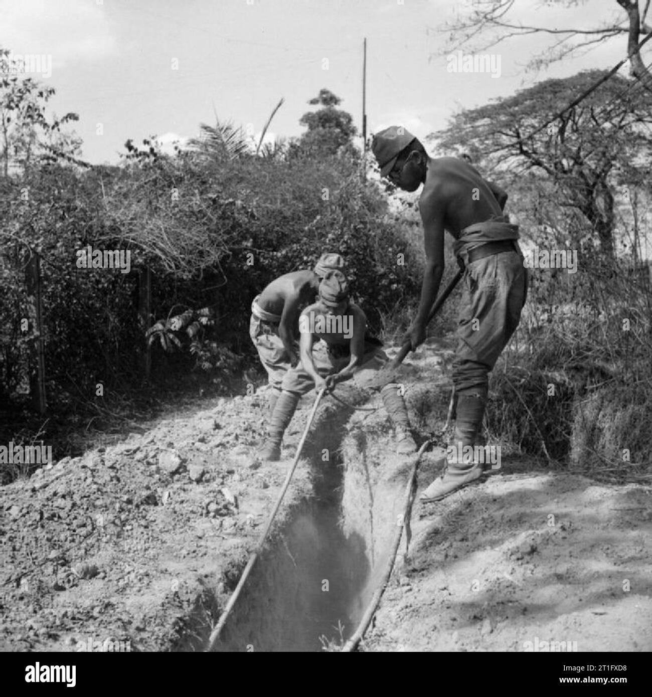 The British Reoccupation of Burma Japanese prisoners of war from a camp ...