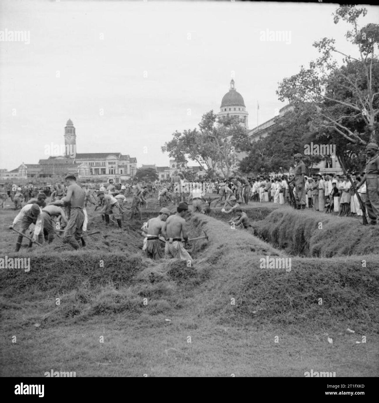 The British Reoccupation of Singapore Outside the Municipal Building in Singapore, Japanese prisoners of war fill in trenches that they had forced Allied prisoners to dig during the war. Stock Photo