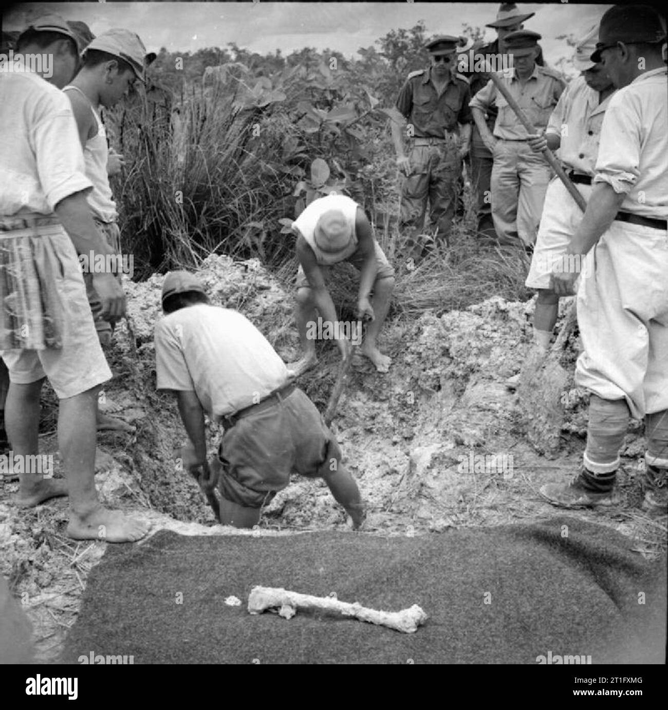 The British Reoccupation of Singapore Japanese prisoners of war exhume the body of an Allied prisoner of war thought to have been killed by the Japanese whilst in captivity. A number of exhumations were carried out by a team under Captain R S Ross of the Royal Army Medical Corps with the object of gaining evidence of Japanese atrocities for the war crimes trials held at Singapore. Stock Photo