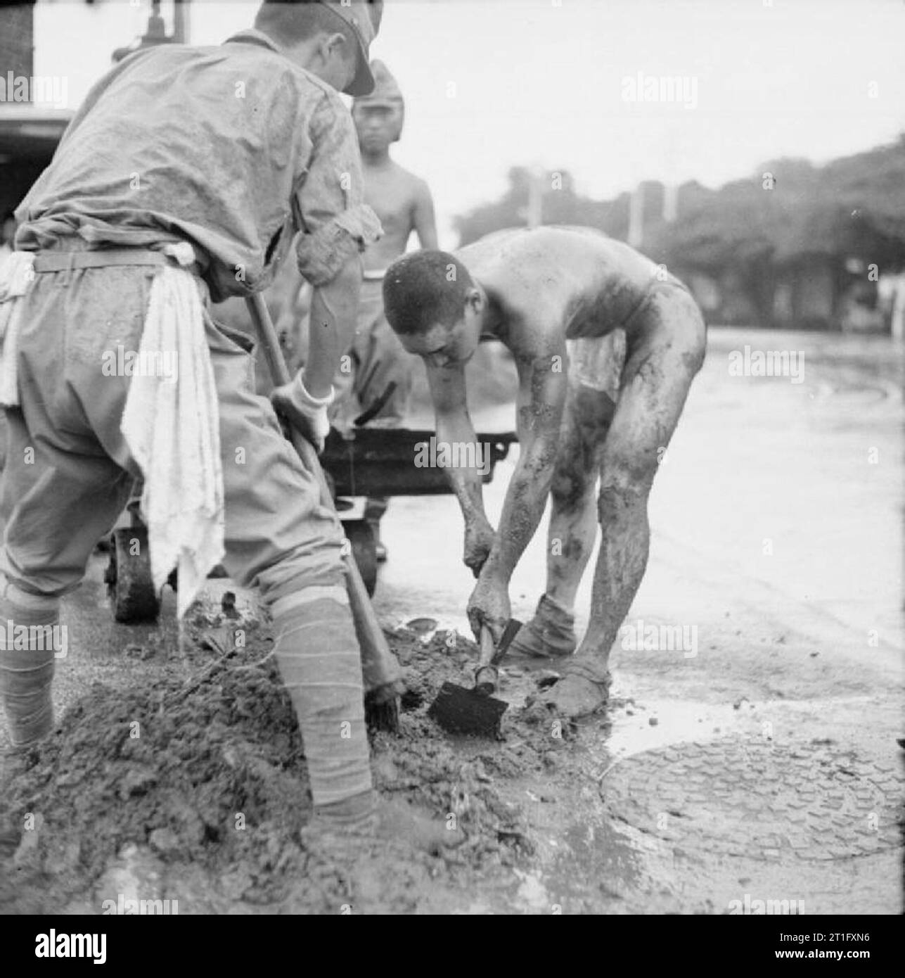 The British Reoccupation of Singapore Japanese prisoners of war at work cleaning street drainage in Singapore. Stock Photo