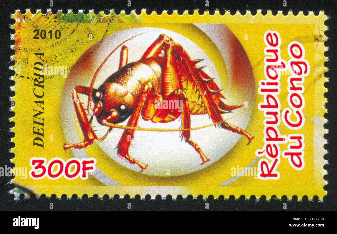 CONGO - CIRCA 2010: stamp printed by Congo, shows Giant weta, circa 2010 Stock Photo