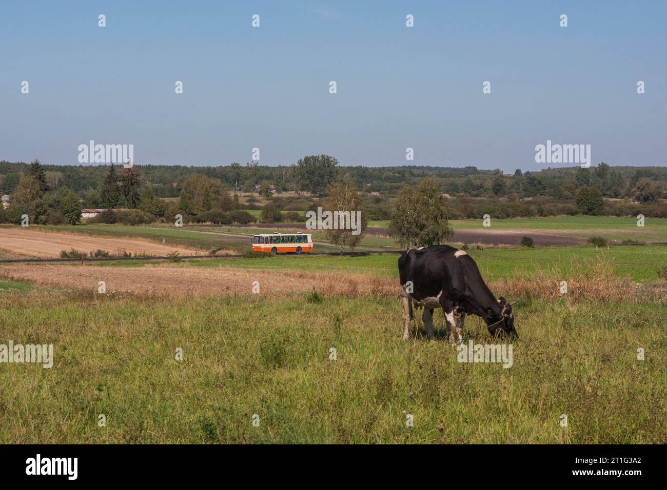 15.09.2016. Poland, near Wierzbica-Osiedle. Autosan H9 from local municipality as a schoolbus. Stock Photo