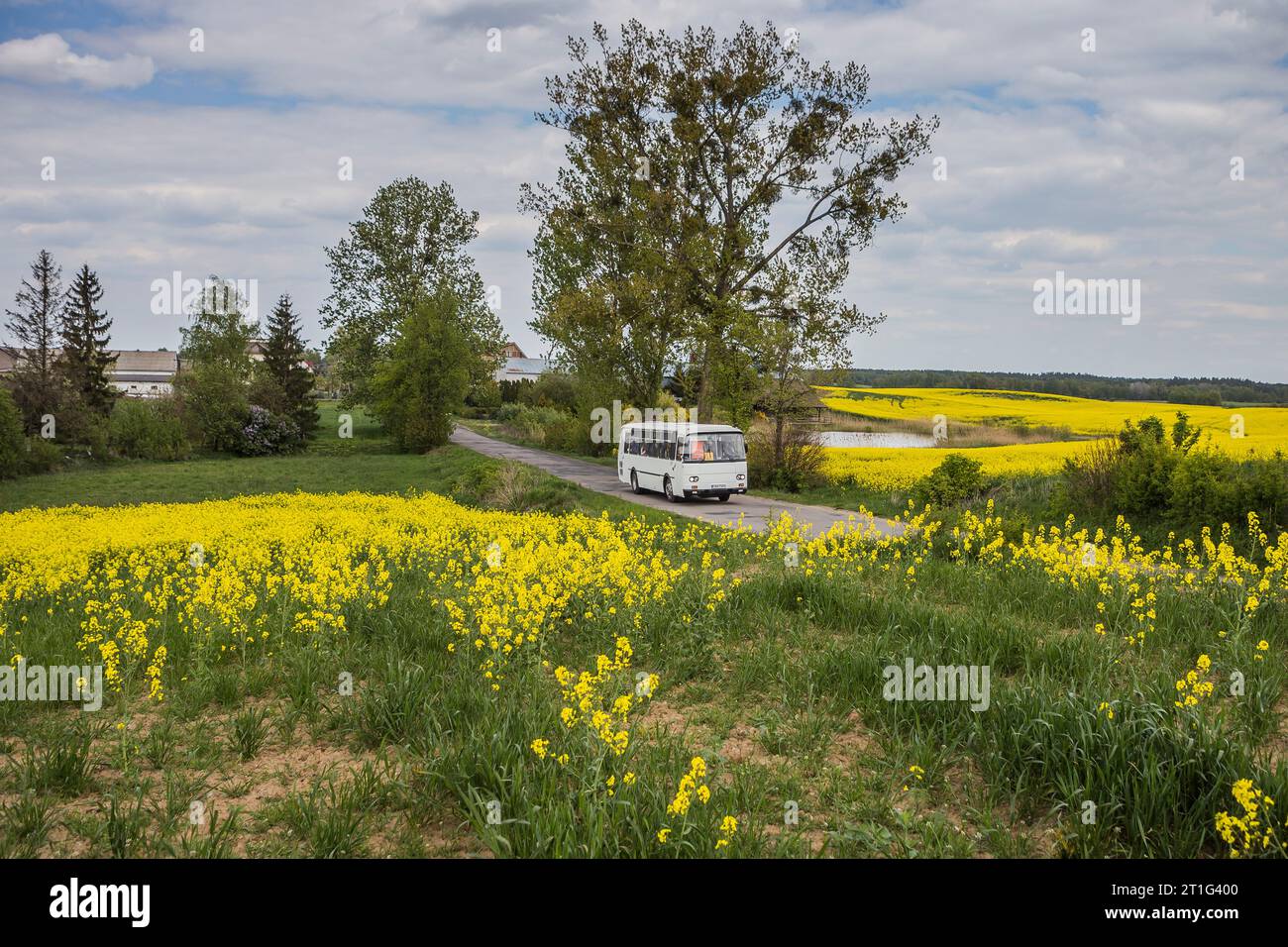 8.05.2019. Poland, between Góraliki and Konojady. Autosan H9 as a schoolbus in Jabłonowo Pomorskie. Stock Photo