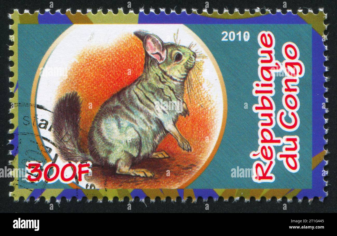 CONGO - CIRCA 2010: stamp printed by Congo, shows Chinchillas, circa 2010 Stock Photo