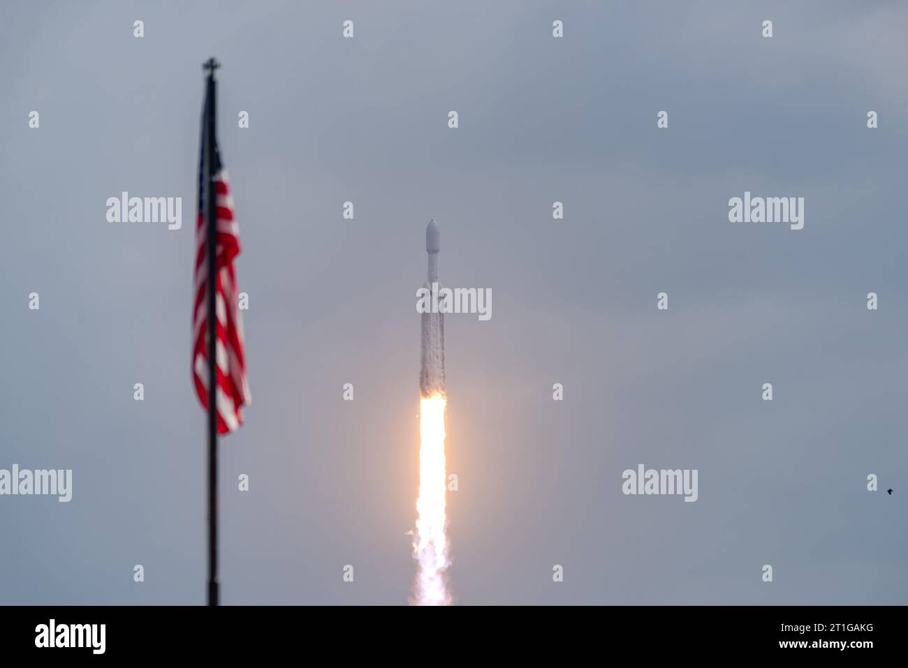 Florida, USA. 13th Oct, 2023. SpaceX Falcon Heavy Launch of NASA Psyche Spacecraft Credit: Brandon Moser/Alamy Live News Stock Photo