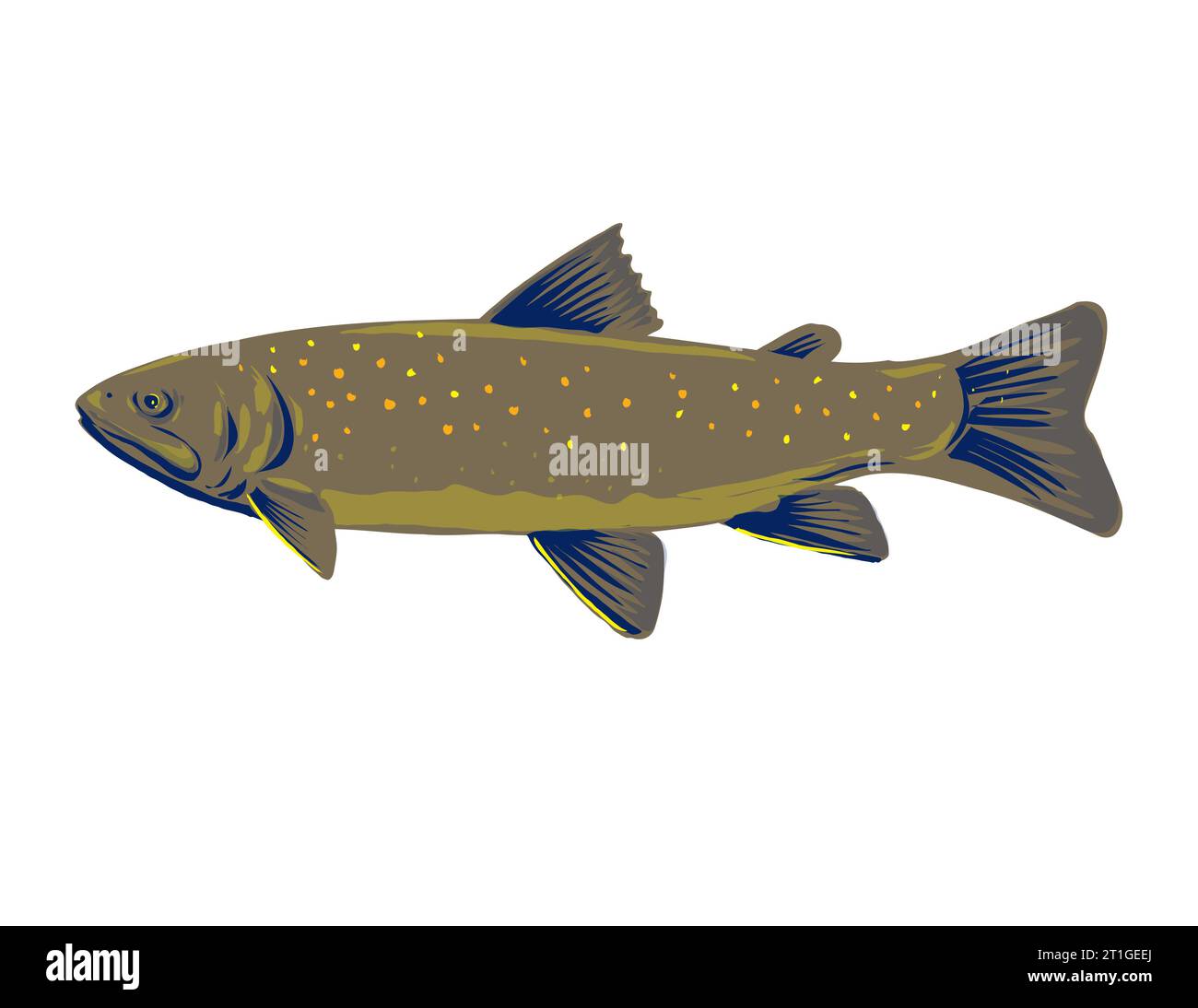 WPA poster art of a bull trout Salvelinus confluentus,  a char of the family Salmonidae viewed from side done in works project administration style or Stock Photo