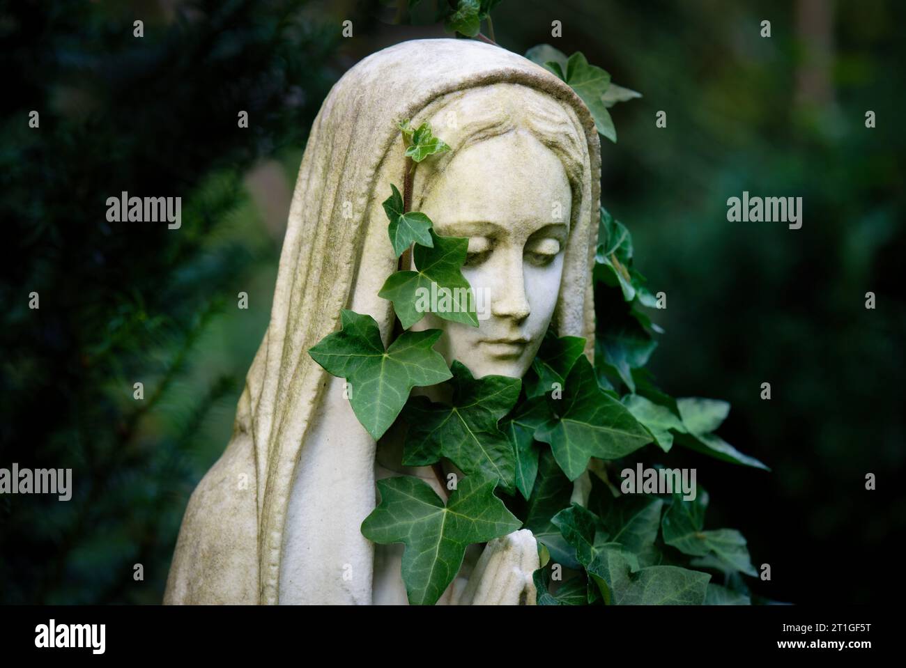 portrait of woman figure with headscarf and scarf made of ivy in a cemetery Stock Photo