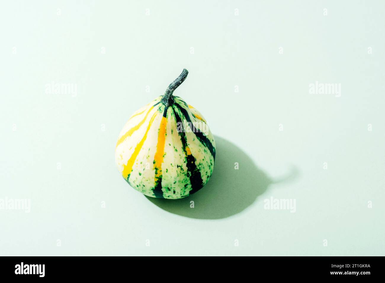 11+ Light Green Pumpkin