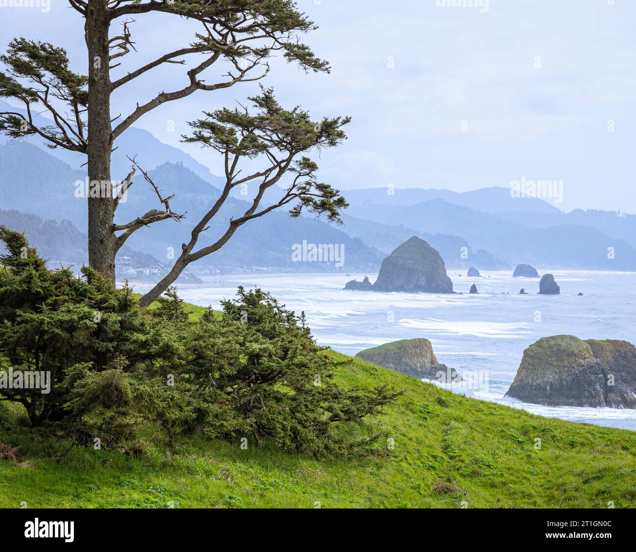 Cannon Beach as seen from Ecola State Park on the Oregon Coast, USA. Stock Photo