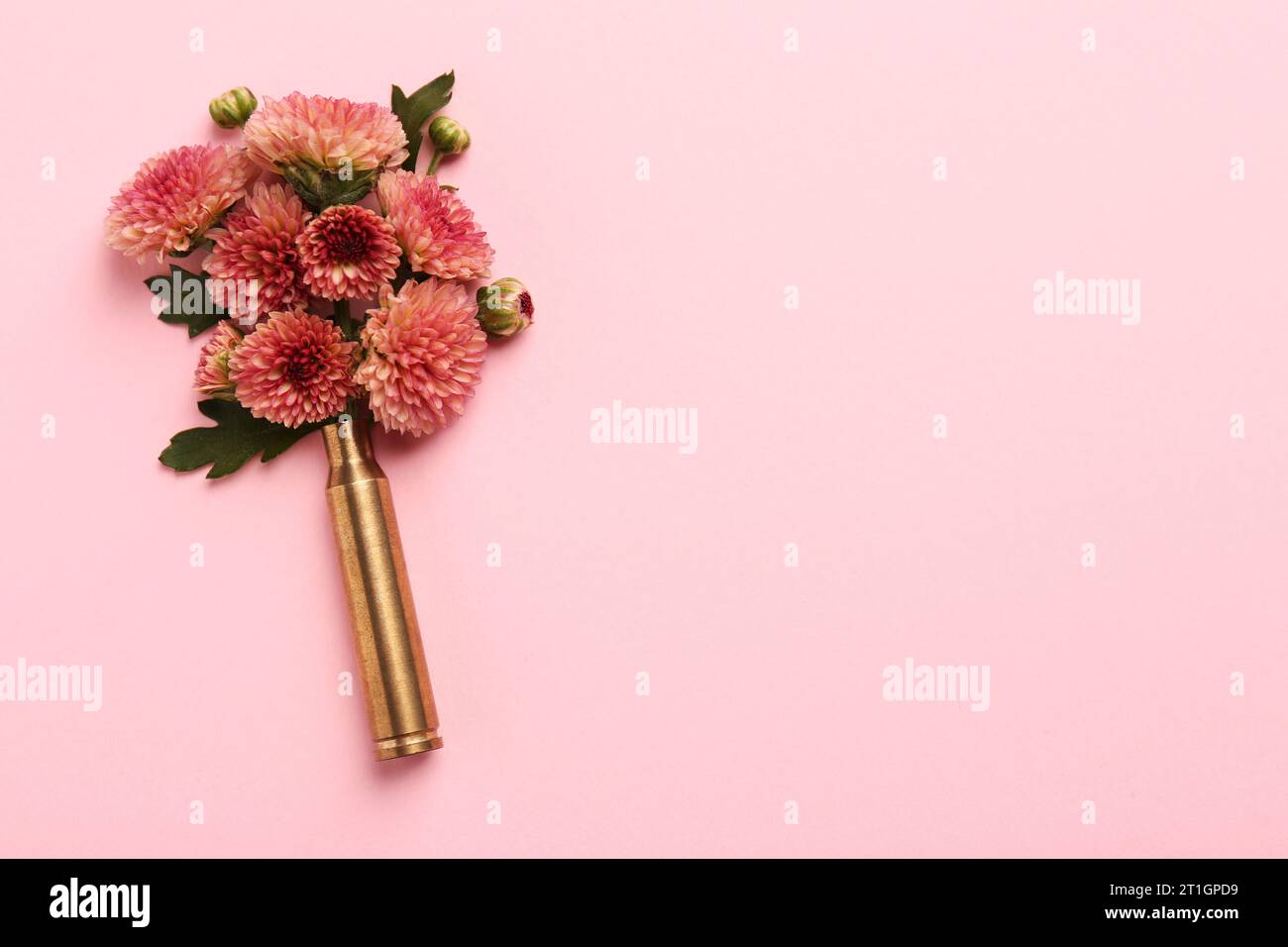 Beautiful flowers in bullet case on pink background, top view. Space ...