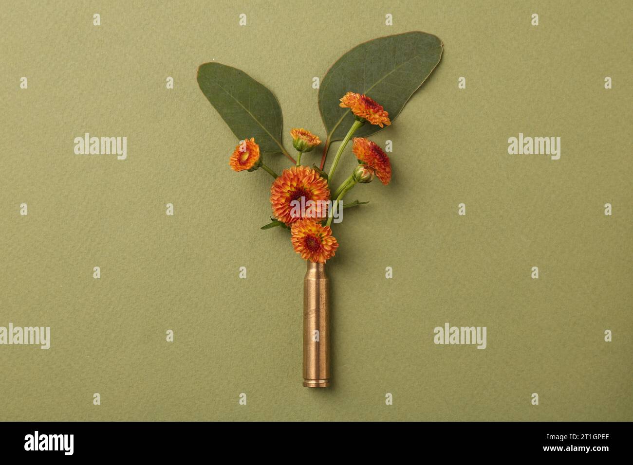 Beautiful flowers in bullet case on green background, top view Stock ...