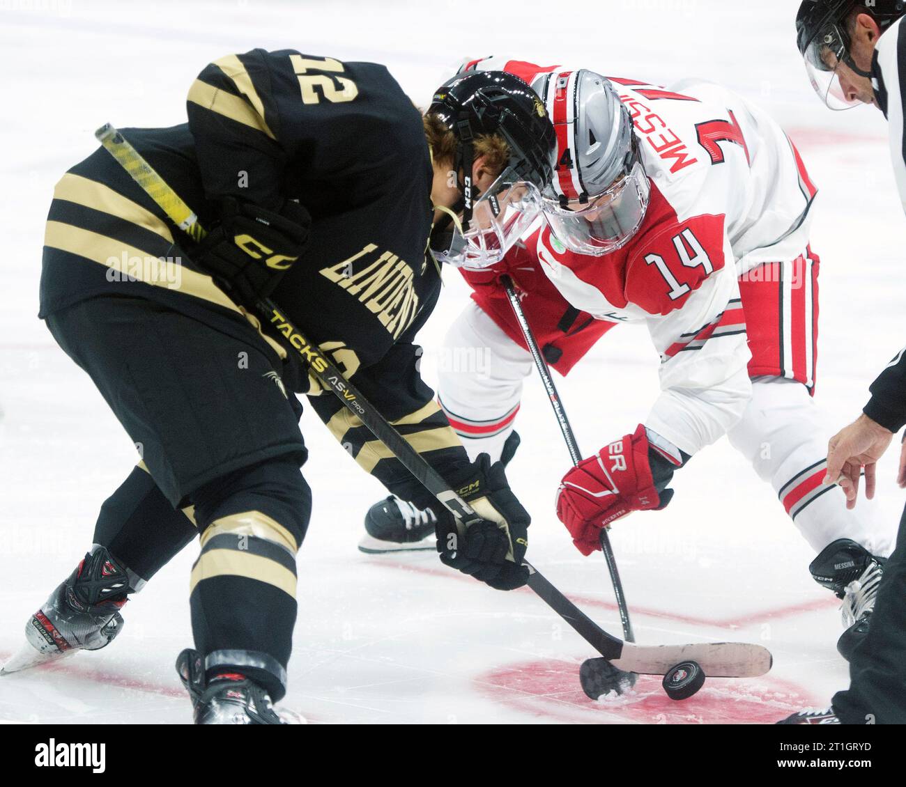 Columbus, Ohio, USA. 13th Oct, 2023. Ohio State Buckeyes forward Dalton Messina (14) fights for the puck during the faceoff against Lindenwood Lions forward Ethan Zielke (12) in their game in Columbus, Ohio. Brent Clark/Cal Sport Media (Credit Image: © Brent Clark/Cal Sport Media). Credit: csm/Alamy Live News Stock Photo