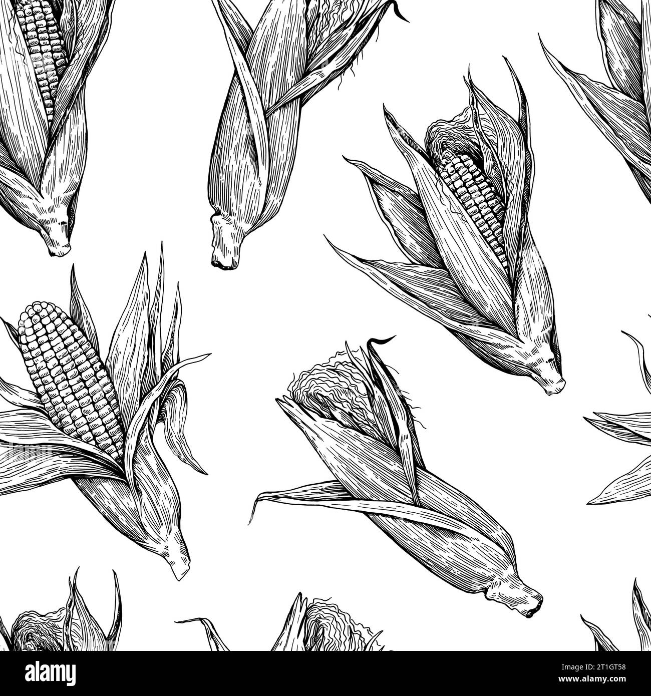 Seamless pattern with corn cobs. Drawing in old retro engraving style ...