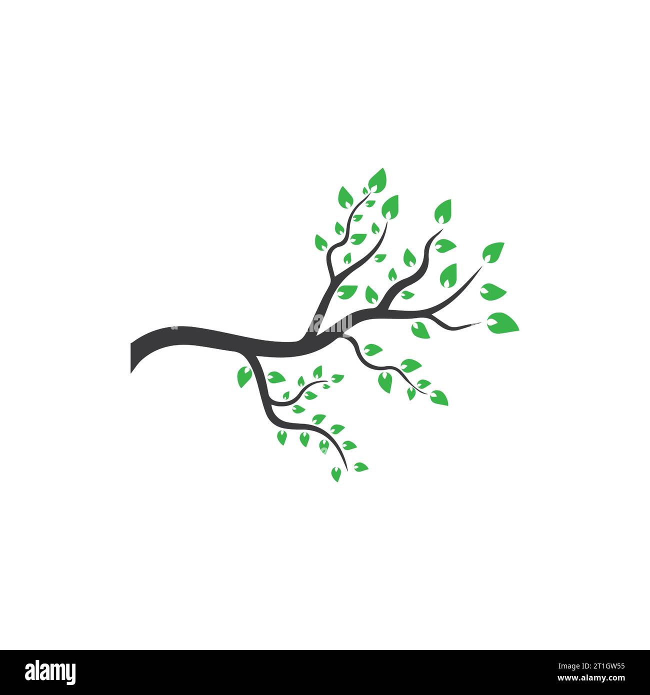 Vector branch , Hand drawn illustration of tree branch design template ...