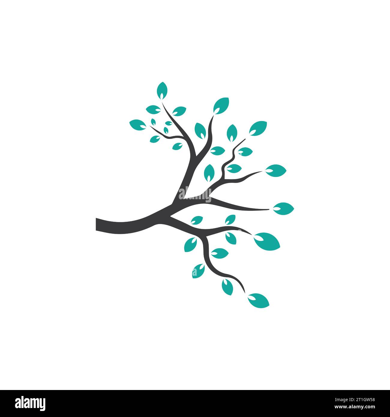Vector branch , Hand drawn illustration of tree branch design template ...