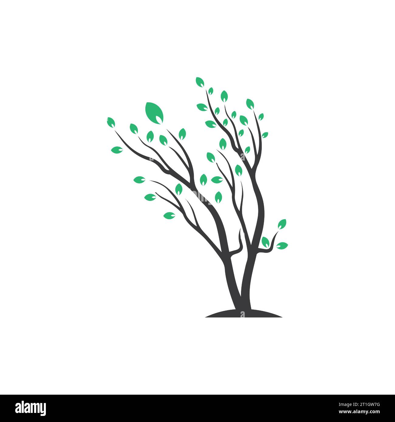 Vector branch , Hand drawn illustration of tree branch design template ...