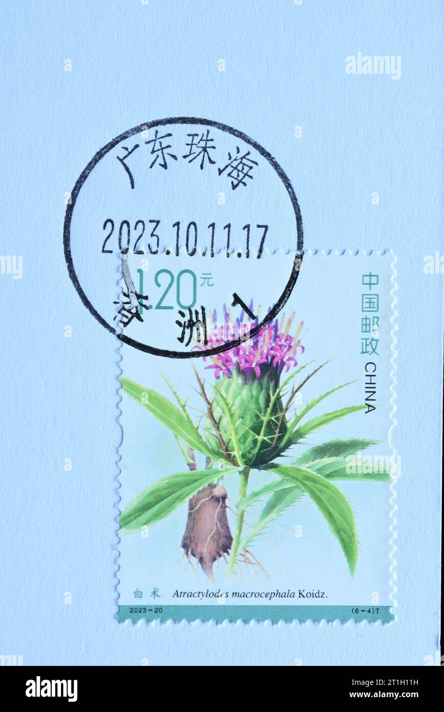CHINA - CIRCA 2023: A stamps printed in China shows 2023-20 Medicinal Herbs  atractylodes macrocephala koidz ,  circa 2023. Stock Photo