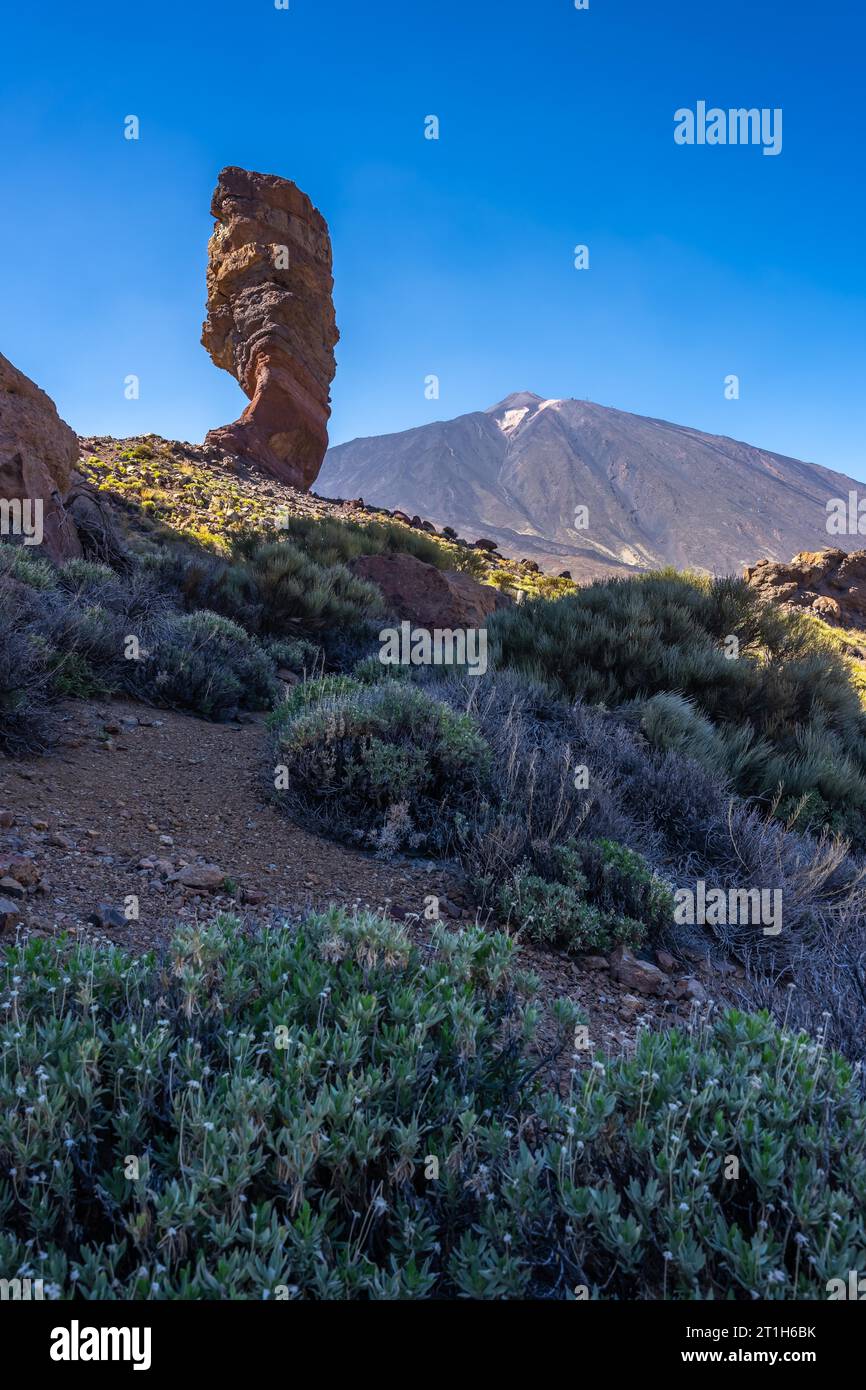 Roque Cinchado and in the background the Teide volcano in the natural area of Teide in Tenerife, Canary Islands Stock Photo