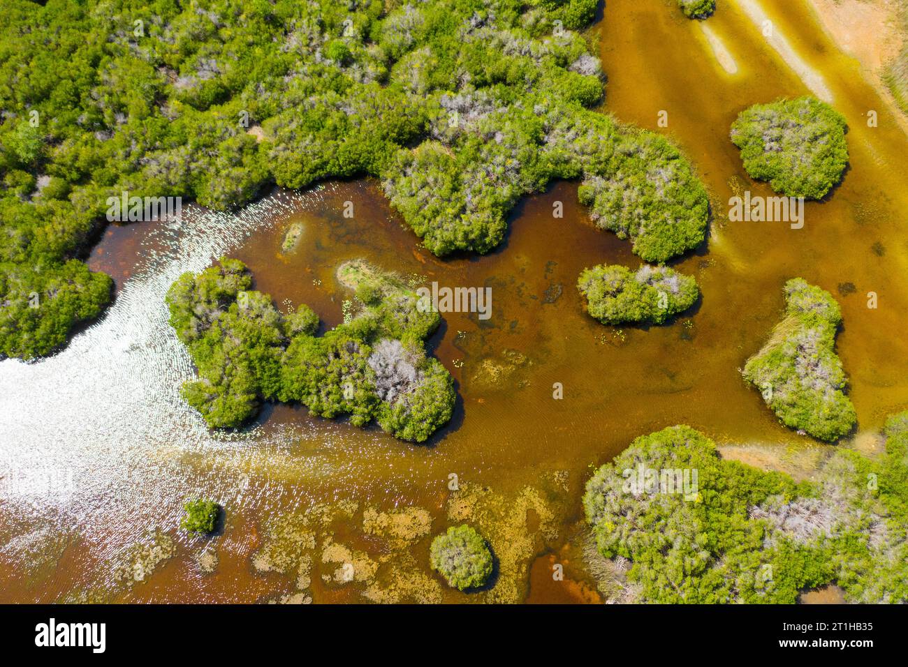 Aerial drone of Jungle during the rainy season. Habitat of wild birds and animals. Sri Lanka. Stock Photo