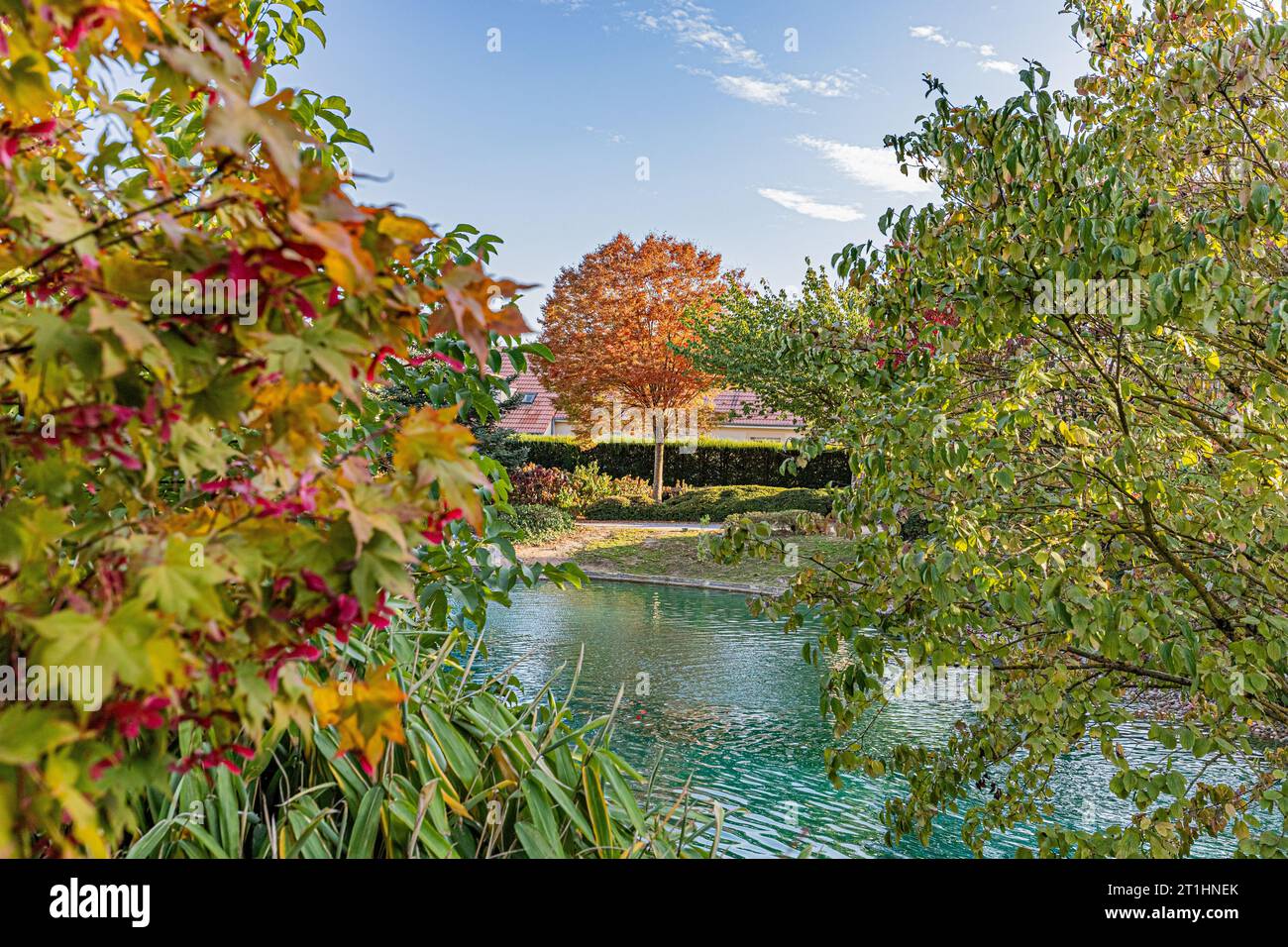 The Japanese garden in Dijon in autumn colours. Le jardin japonais à Dijon aux couleurs de l'automne. Stock Photo