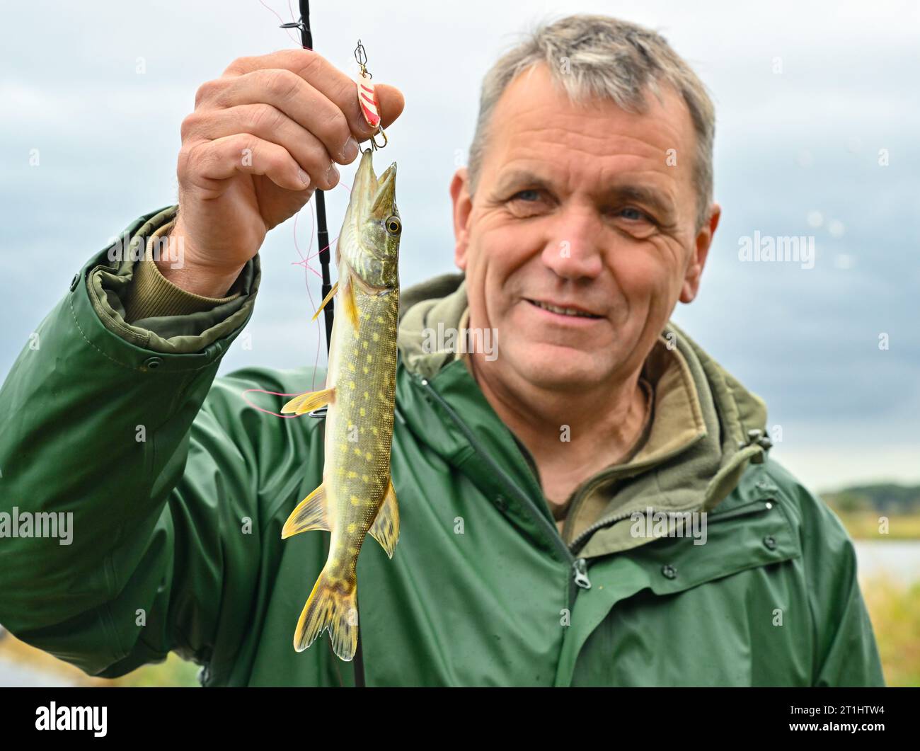 Junghecht Hi res Stock Photography And Images Alamy junghecht-hi-res-stock-photography-and-images-alamy