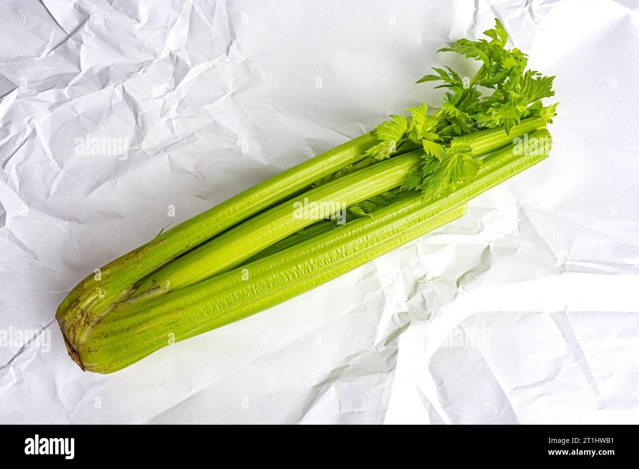 fresh green celery stalk on mint white paper top view Stock Photo Alamy