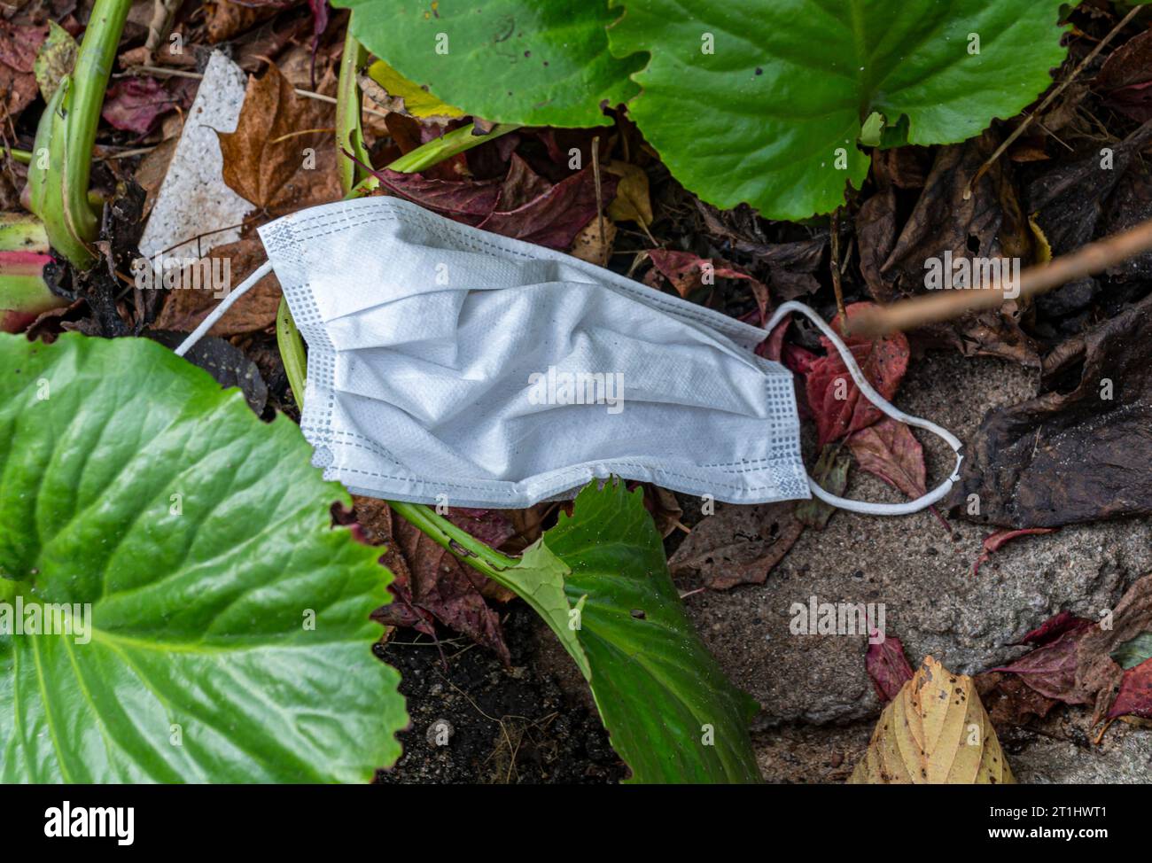 used medical mask top view close-up Stock Photo - Alamy