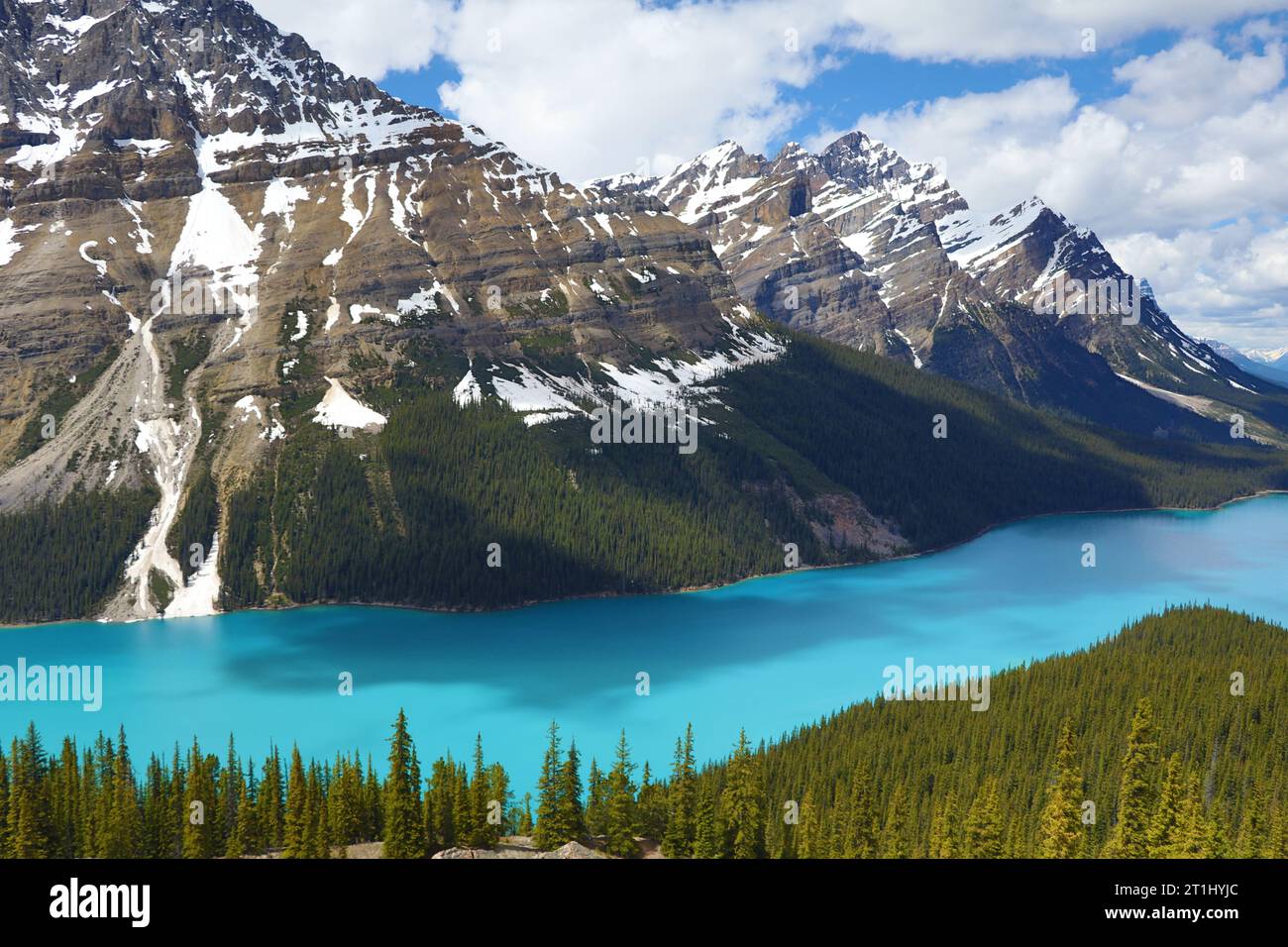 Peyto Lake of Banff National Park in Canada Stock Photo - Alamy