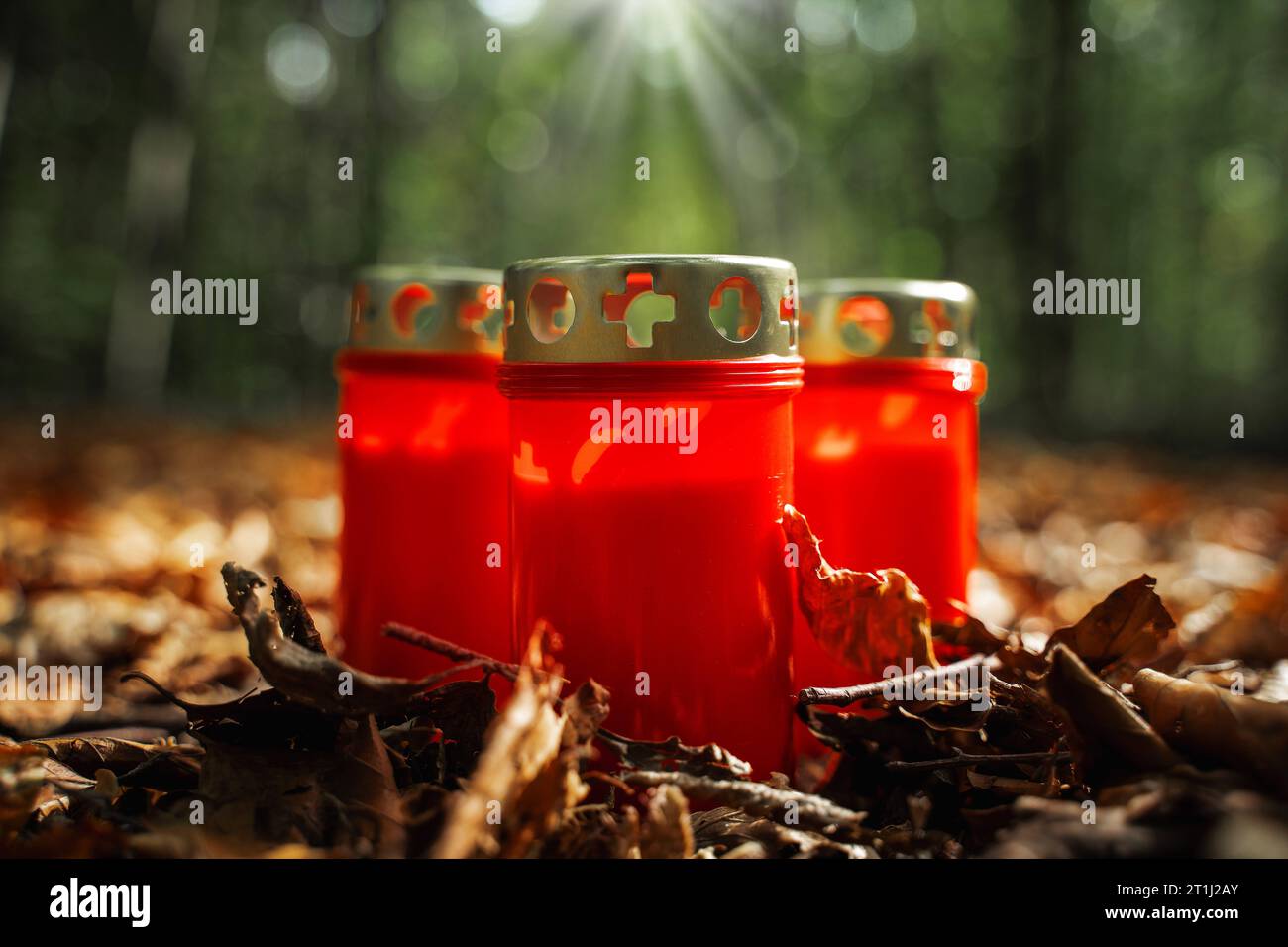 Augsburg, Bavaria, Germany. 13th Oct, 2023. Red grave candles in a clearing in a forest. Religion and faith concept *** Rote Grabkerzen in einer Lichtung in einem Wald. Religion und Glaube Konzept Credit: Imago/Alamy Live News Stock Photo