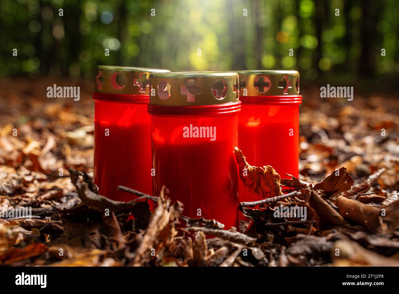 Augsburg, Bavaria, Germany. 13th Oct, 2023. Red grave candles in a clearing in a forest. Religion and faith concept *** Rote Grabkerzen in einer Lichtung in einem Wald. Religion und Glaube Konzept Credit: Imago/Alamy Live News Stock Photo