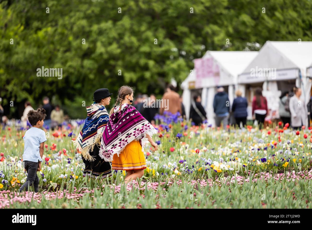 Canberra. 14th Oct, 2023. This photo taken on Oct. 14, 2023 shows a scene at the "Windows to the