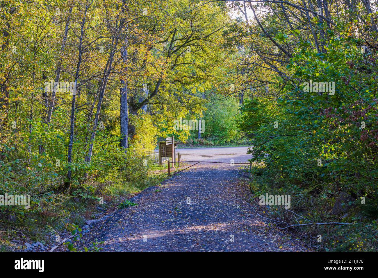 Beautiful autumn landscape with barrier gate blocking forest road ...