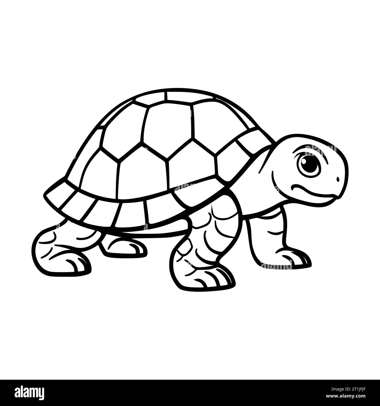 turtle amphibian wild animal head illustration for logo or symbol Stock Vector