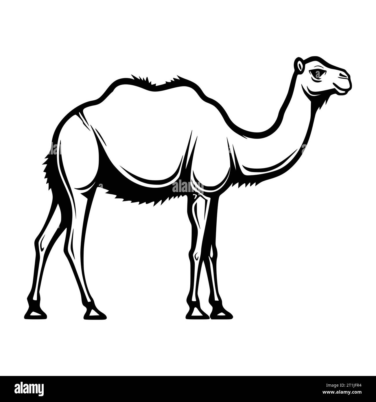 The black camel Stock Vector Images Page 2 Alamy