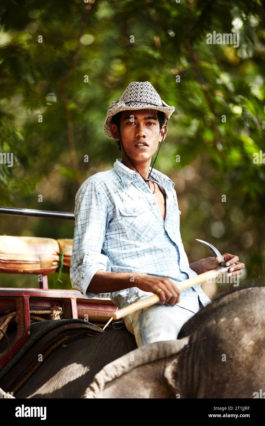 Indian, man and portrait of trainer riding on back of elephant for wildlife, animal rescue and outdoor. Sanctuary, face and person in nature for Stock Photo