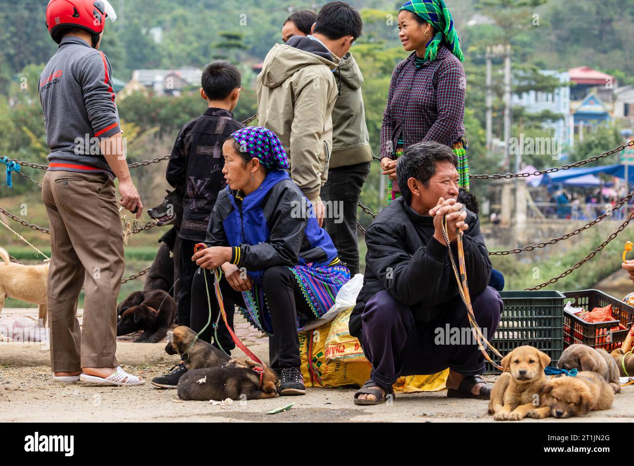 The puppies and dogs at the Farmers Bac Ha Market in North Vietnam