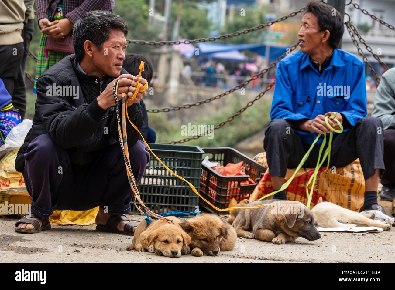 The puppies and dogs at the Farmers Bac Ha Market in North Vietnam