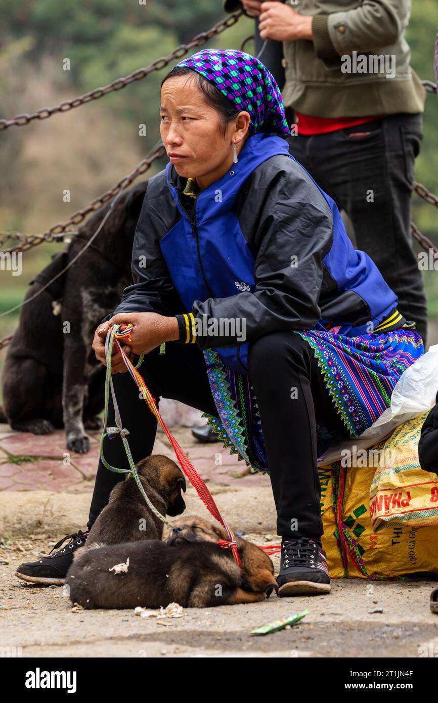 The puppies and dogs at the Farmers Bac Ha Market in North Vietnam