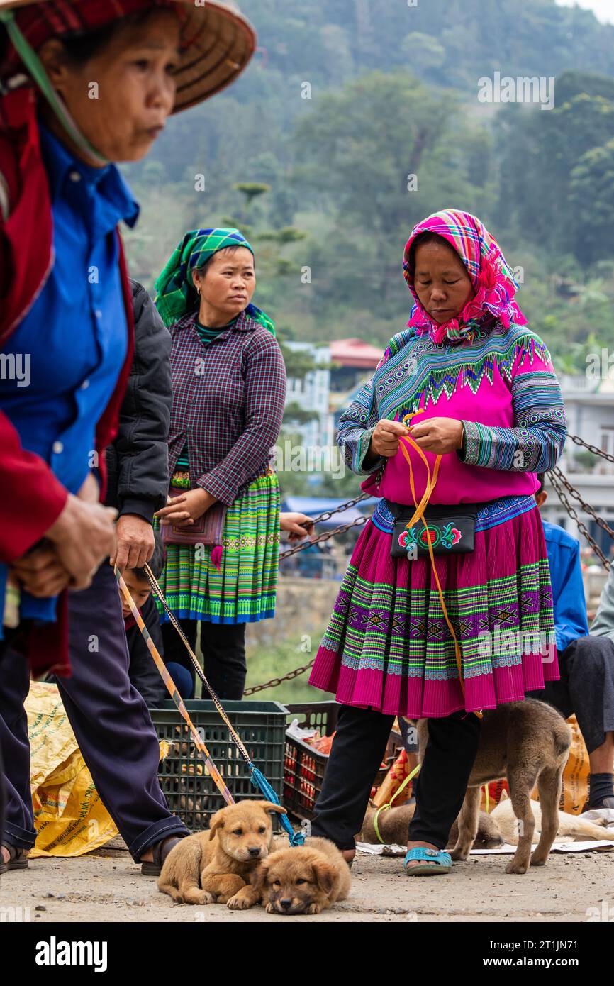 The puppies and dogs at the Farmers Bac Ha Market in North Vietnam