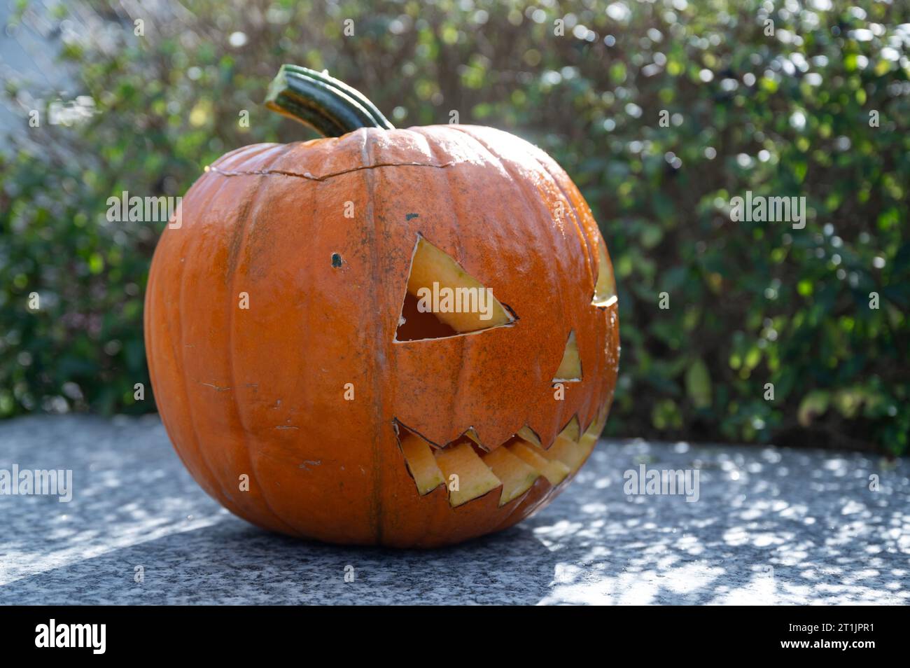 Self-carved pumpkin with aggressive and scary face as decoration for Halloween time Stock Photo