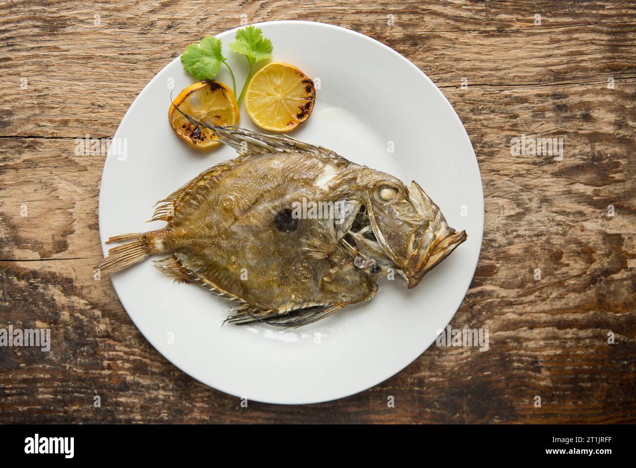 A grilled John Dory, Zeus faber, caught in the English Channel. Dorset England UK GB Stock Photo