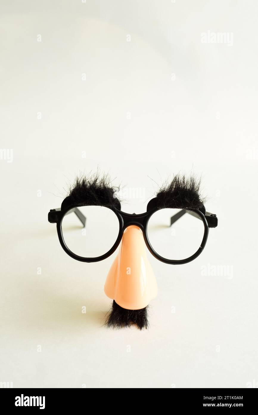Funny Mask Glasses Fake Nose and Mustache Disguise