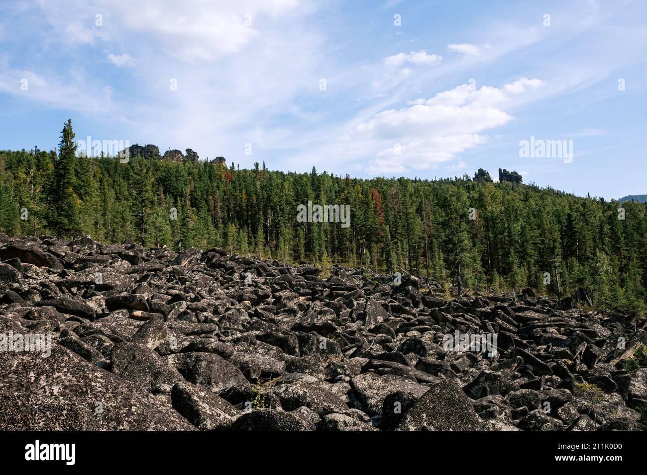 Natural summer landscape. Many igneous rock stones, evergreen coniferous forest, rocks in the distance and blue sky. Hiking through difficult terrain Stock Photo