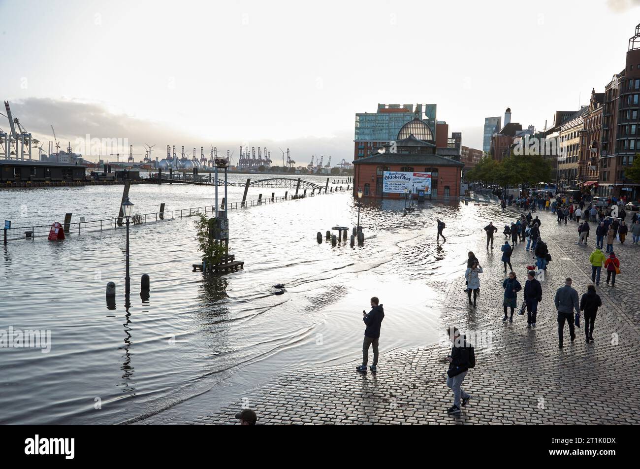 Hamburg, Germany. 14th Oct, 2023. View of the partially flooded fish