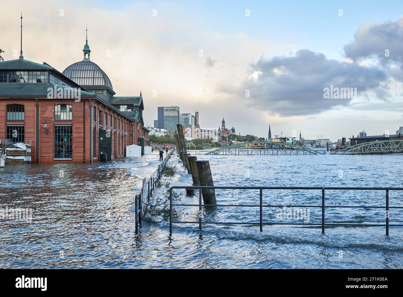 Hamburg, Germany. 14th Oct, 2023. View of the partially flooded fish